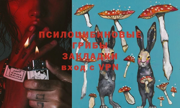 PSILOCYBIN Белокуриха