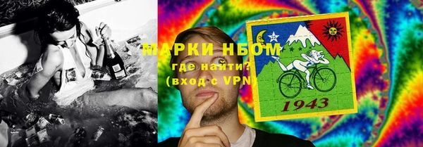 индика Белоозёрский