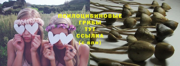 PSILOCYBIN Белокуриха